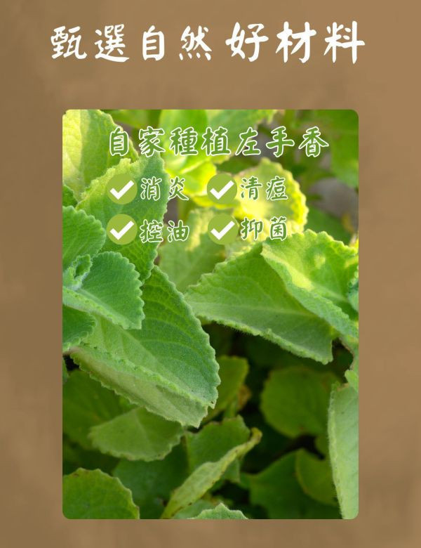 左手香手工皂 苗栗-自然皂手作坊 左手香手工皂