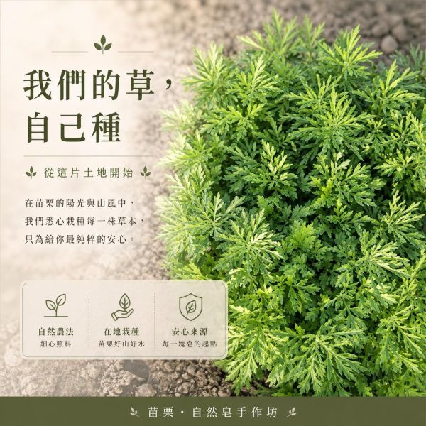 三合一手工平安皂 三合一草本皂, 平安香皂, 艾草手工皂, 芙蓉香皂, 抹草香皂, 草本手工皂, 天然冷製香皂, 無添加香皂, 敏感肌香皂推薦, 草本潔淨香皂, 自然皂手作坊