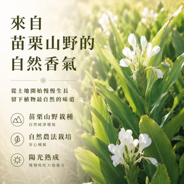 野薑花手工皂 野薑花手工皂,野薑花香皂,天然手工皂,草本手工皂,溫和潔淨手工皂,天然植萃香皂,野薑花皂批發,野薑花皂代工,花香手工皂,保濕手工皂