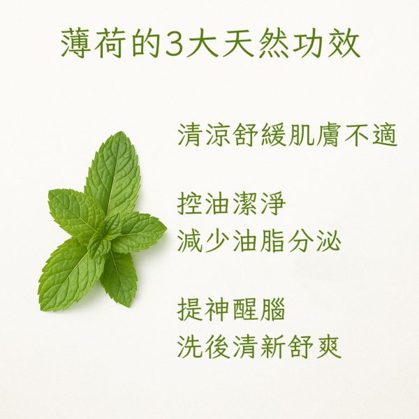 薄荷手工皂 薄荷手工皂, 薄荷香皂, 草本手工皂, 天然香皂, 無香精香皂, 清涼皂, 洗臉皂推薦, 洗澡用手工皂, 夏天香皂, 手工皂控油, 臉部用香皂, 可洗臉香皂, 冷製皂薄荷, 手工香皂推薦,