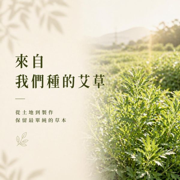 艾草純露｜草本蒸餾原液 艾草純露,艾草噴霧,天然純露推薦,草本純露,保濕噴霧,舒緩肌膚,天然保養,艾草保養,純露是什麼,臉部噴霧推薦,身體噴霧,清爽保濕,敏感肌適用,自然皂手作坊