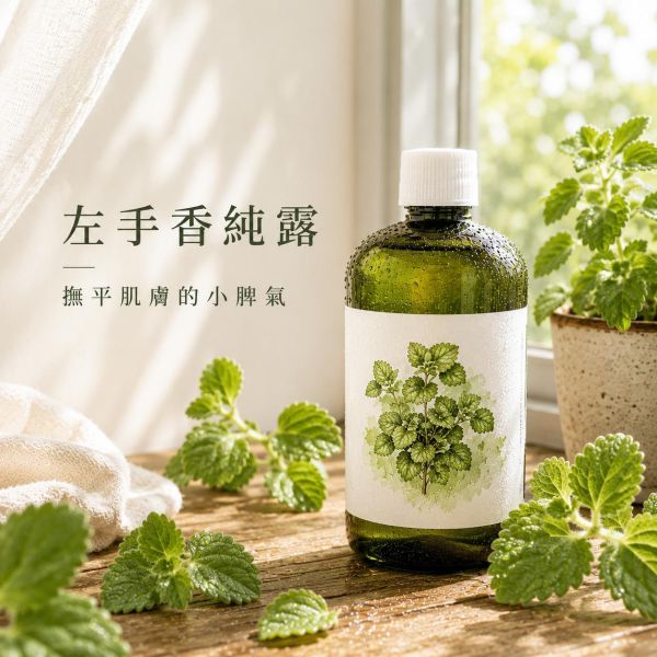 左手香純露｜草本蒸餾原液 左手香純露, 左手香保濕噴霧, 草本純露, 天然純露, 保濕噴霧, 左手香保養, 左手香萃取液, 舒緩純露, 草本保養品, 天然保濕噴霧, 苗栗左手香, 純露推薦, 草本噴霧, 日常保養, 溫和保養
