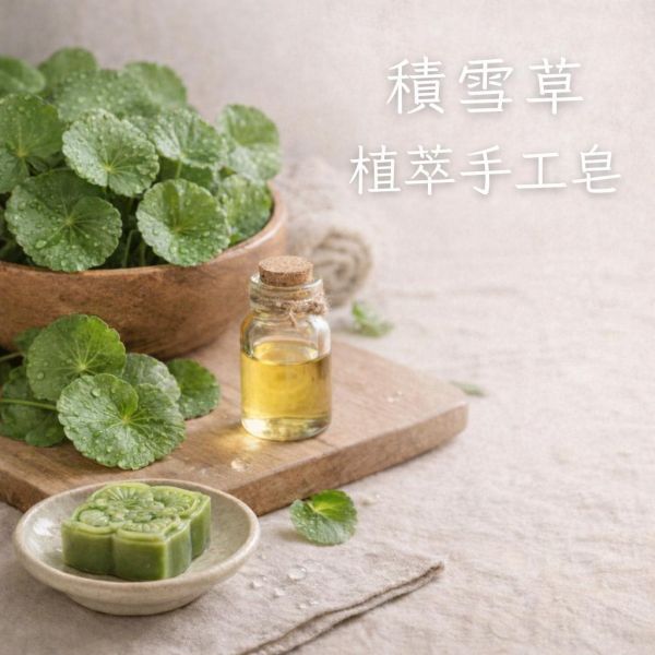 積雪草手工皂 積雪草手工皂,自然皂手作坊,敏感肌肥皂,CICA修復,老虎草皂,天然冷製皂,舒緩泛紅,手作肥皂推薦,保濕洗面皂,植萃護膚,無添加洗沐,乾癢肌救星,皮膚修復,天然護膚品,純植物油手工皂,