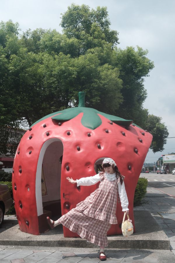 ⋆⑅˚₊甜蜜花園蝴蝶結綁帶洋裝 