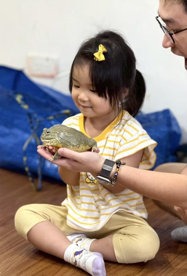 生態動物探索_來去青蛙國 