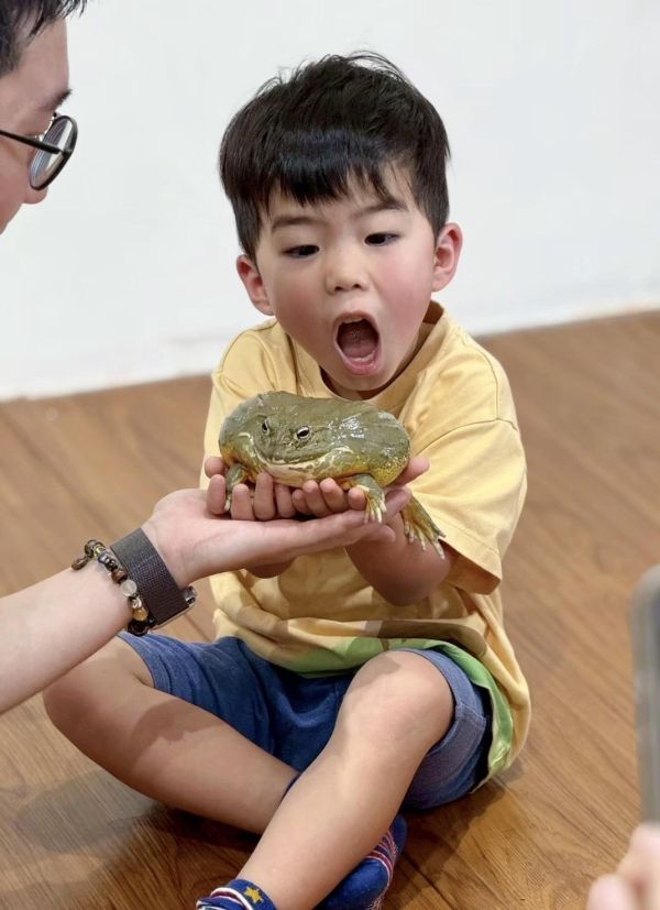 生態動物探索_來去青蛙國 