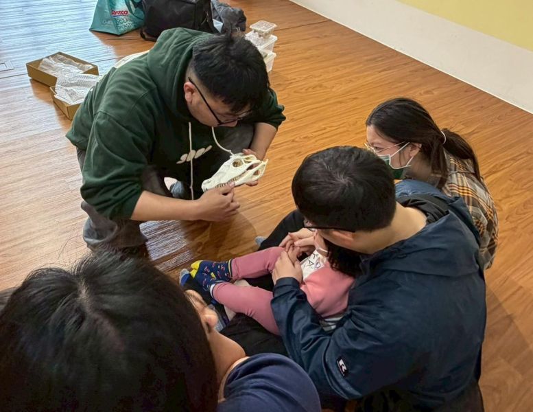 認識動物＿鱷魚 