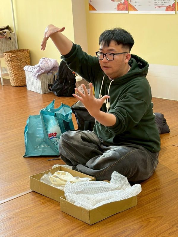 認識動物＿鱷魚 