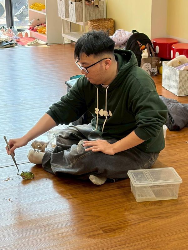 認識動物＿鱷魚 