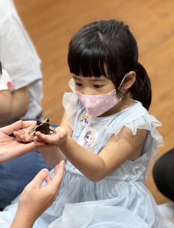 生態動物探索_來去青蛙國 