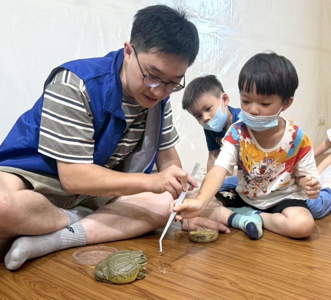 生態動物探索_來去青蛙國 