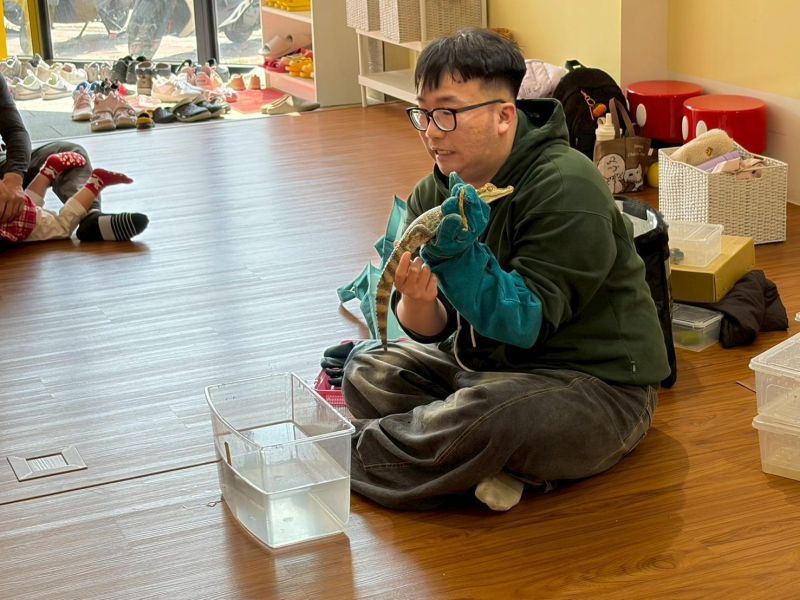 認識動物＿鱷魚 