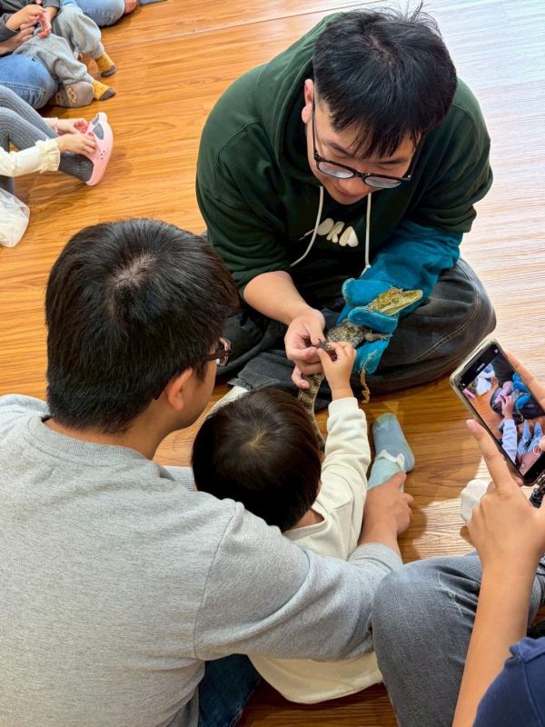 認識動物＿鱷魚 