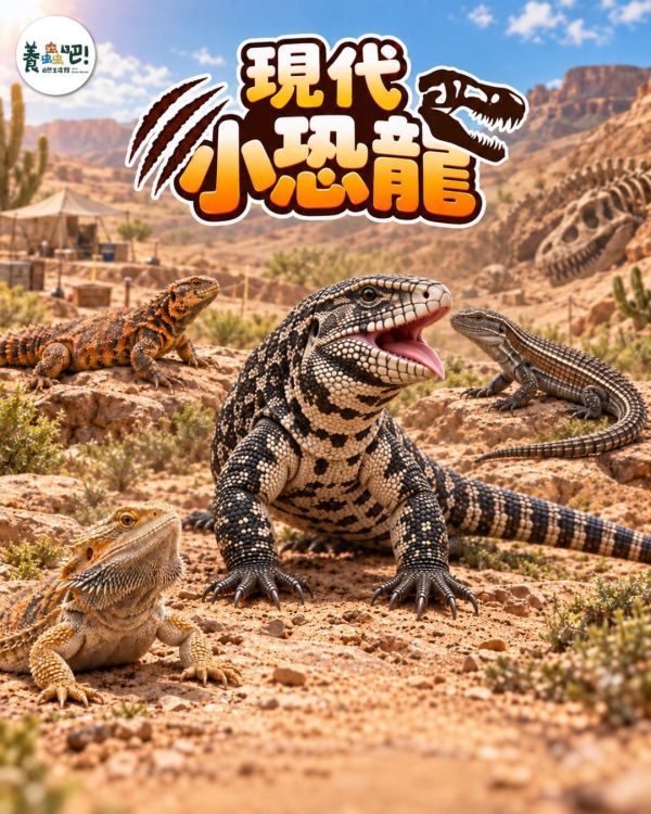 11月_生態動物探索｜現代小恐龍 (11/28) 