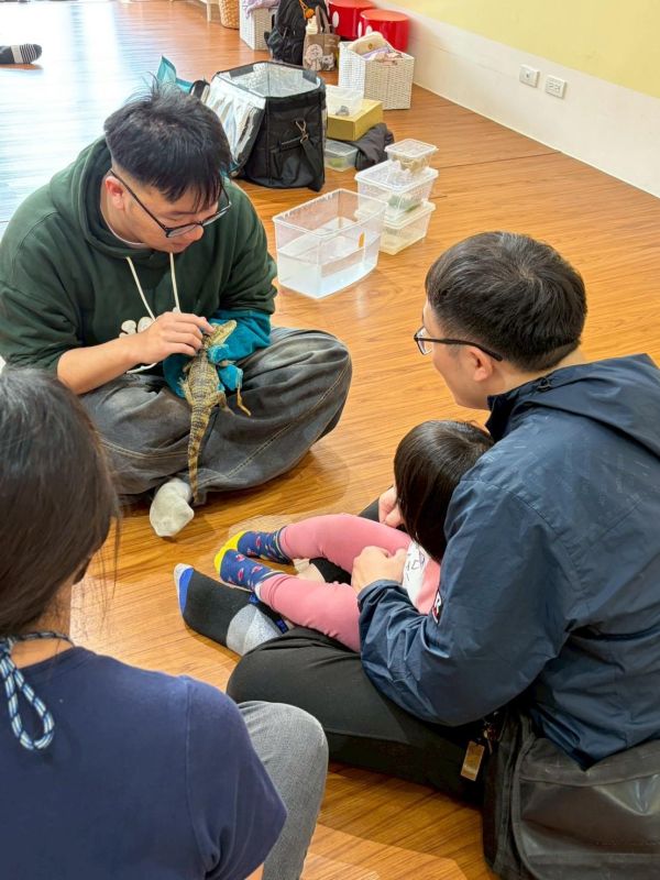 認識動物＿鱷魚 