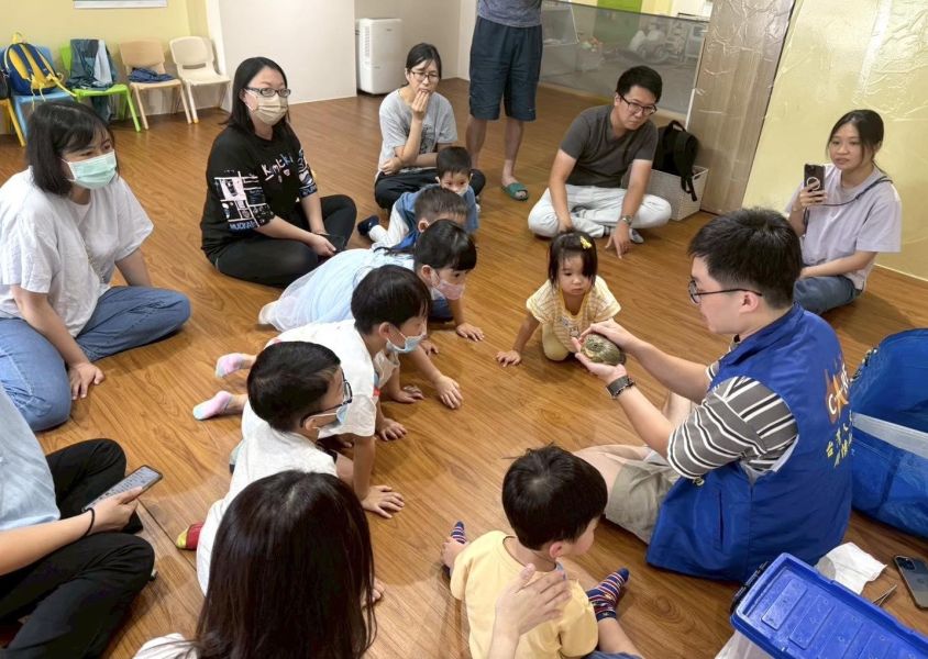 生態動物探索_來去青蛙國 