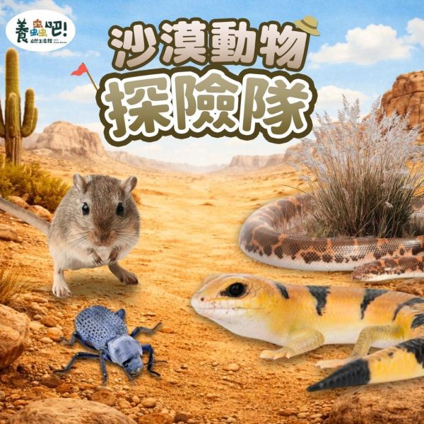 8月_生態動物探索｜沙漠動物探險隊 