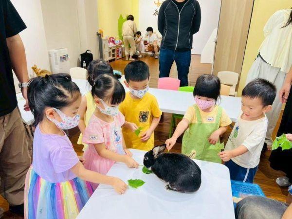 生態動物探索系列_蛇 