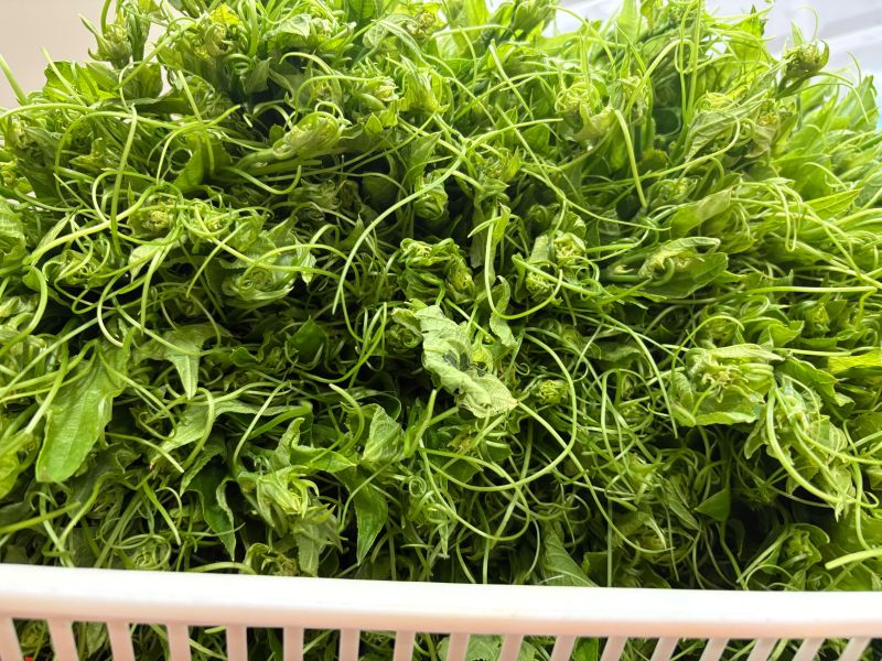 龍鬚菜黑豬水餃 • 龍鬚菜水餃
 • 黑豬水餃
 • 薑絲水餃
 • 清脆水餃
 • 特殊口味水餃
 • 香村園水餃
 • 手工冷凍水餃
 • 高纖水餃
 • 蔬菜水餃推薦
 • 古典搭檔水餃