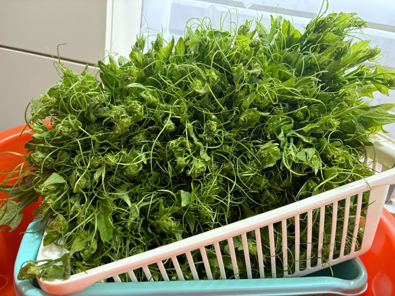 龍鬚菜黑豬水餃 • 龍鬚菜水餃
 • 黑豬水餃
 • 薑絲水餃
 • 清脆水餃
 • 特殊口味水餃
 • 香村園水餃
 • 手工冷凍水餃
 • 高纖水餃
 • 蔬菜水餃推薦
 • 古典搭檔水餃