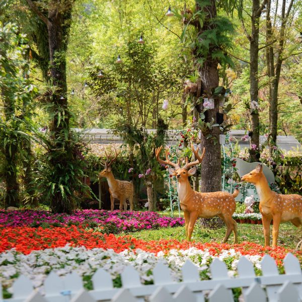 2026森林百花宴 四萬坪森林