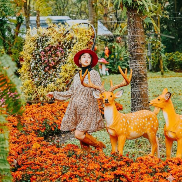 聖誕・紅綠派對套票2~ (一日遊) 2人 