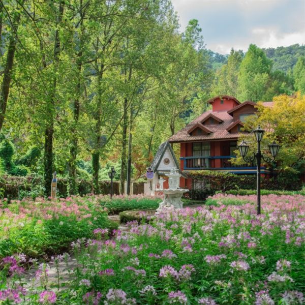 聖誕・紅綠派對套票3~ (一日遊) 4人 