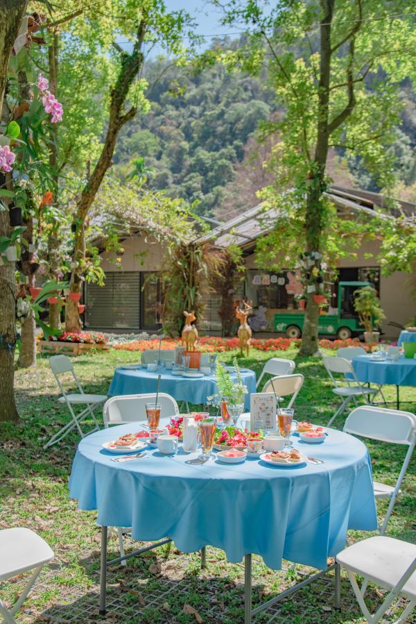 2026森林百花宴 四萬坪森林