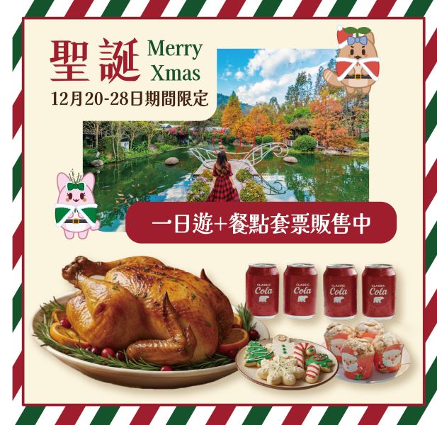 聖誕・紅綠派對套票3~ (一日遊) 4人 