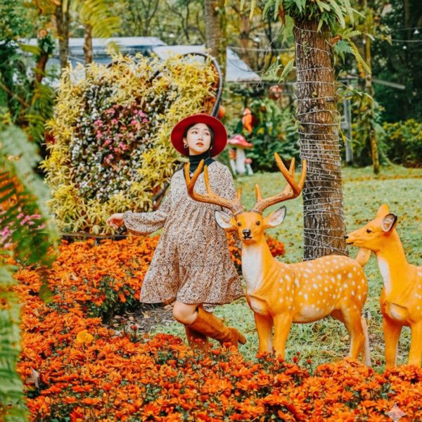 聖誕・紅綠派對套票3~ (一日遊) 4人 