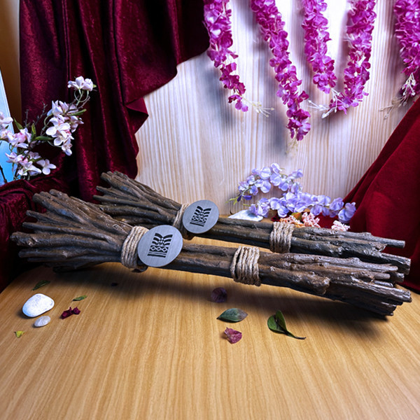 2025全國原住民運動會 聖火把 