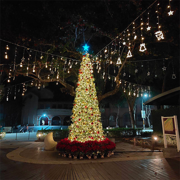 2024 高雄市文化局聖誕樹 