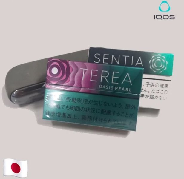 【綠洲爆珠】日版 TEREA煙彈口味推薦 IQOS ILUMA 主機專用 整條煙(10包) 