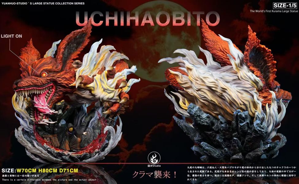 圓火 九尾虎皮帶土 