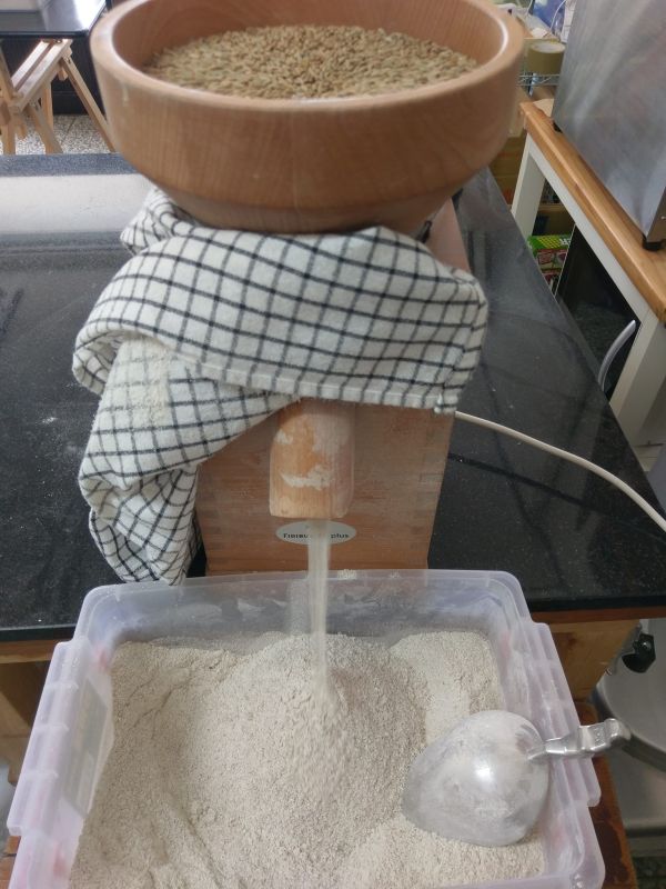全麥原味小吐司 (全素)  