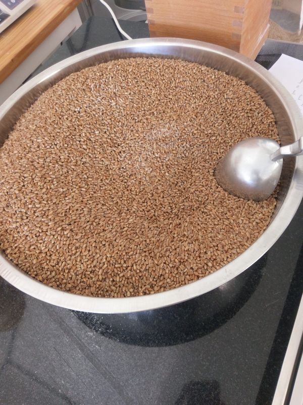 全麥原味小吐司 (全素)  