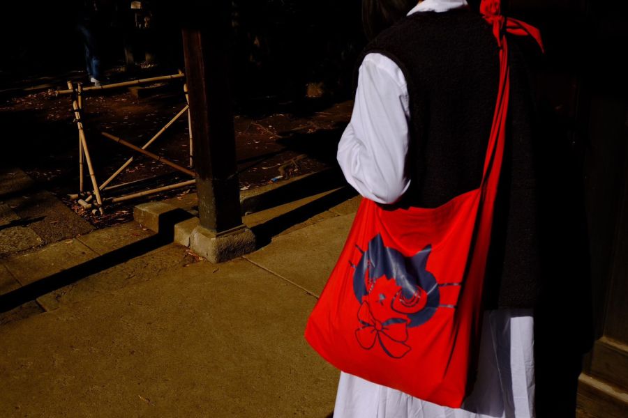 曾偉誠zeng wei cheng-阿諾背袋 曾偉誠、zeng wei cheng、曾偉誠作品、曾偉誠陶藝、曾偉誠公仔、曾偉誠插畫、曾偉誠藝術、阿諾貓咪