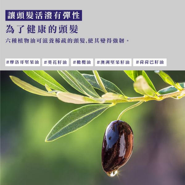 Bouquet Garni 璞珈妮香水護髮乳 500ml-玫瑰花園 