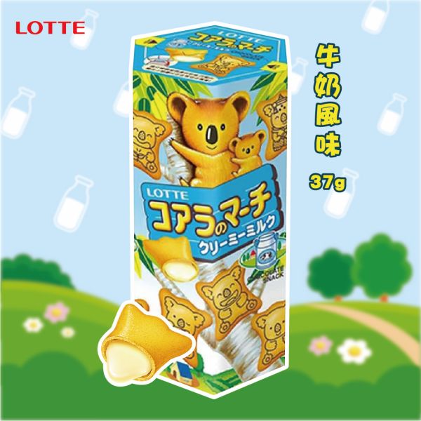【LOTTE 樂天】小熊餅乾 牛奶風味(37g/盒) 