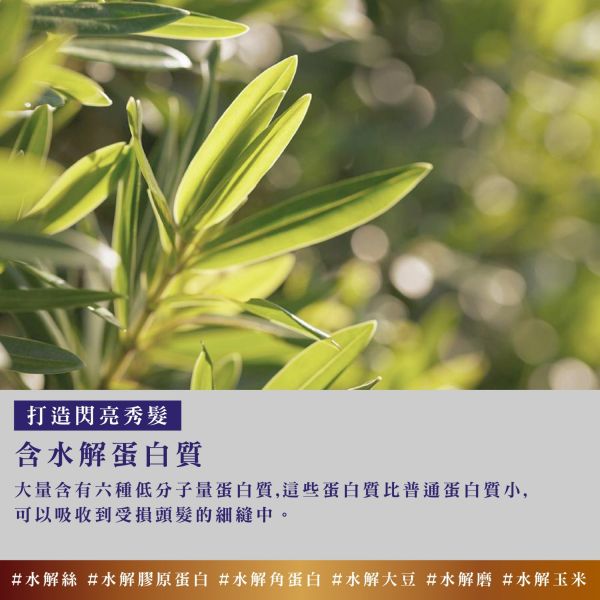 Bouquet Garni 璞珈妮香水護髮乳 500ml-寶寶香 