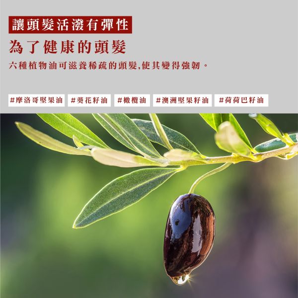 Bouquet Garni 璞珈妮香水洗髮精 500ml-白麝香 