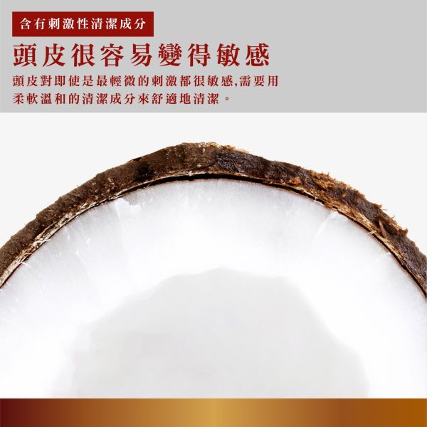 Bouquet Garni 璞珈妮香水洗髮精 500ml-白麝香 