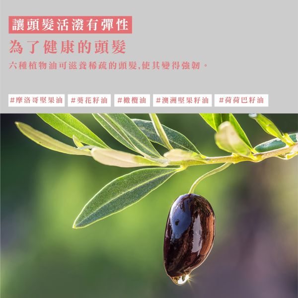 Bouquet Garni 璞珈妮香水洗髮精 500ml-玫瑰花園 