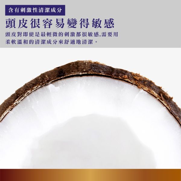 Bouquet Garni 璞珈妮香水洗髮精 500ml-寶寶香 