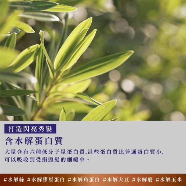 Bouquet Garni 璞珈妮香水深層護髮精華素 100ml-寶寶香 