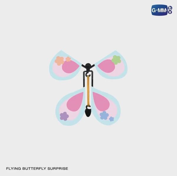 團購5/1結單｜EMI BONNIE:LOVE SESSION DVD BOXSET｜泰韓米果 