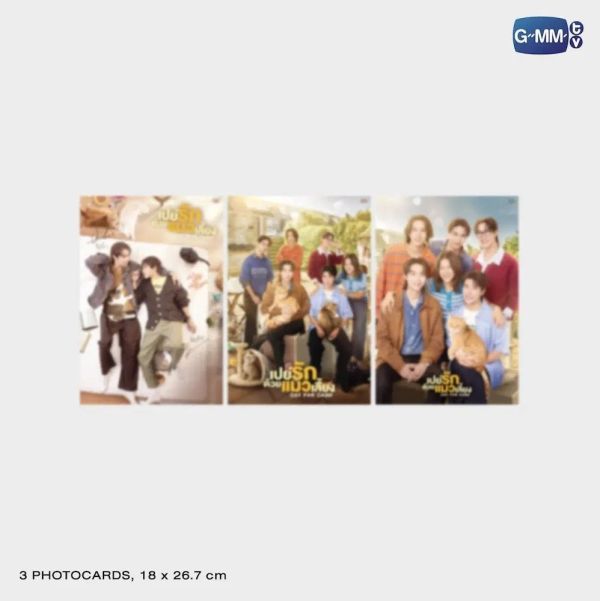 團購4/24結單 | CAT FOR CASH MEMORIAL BOXSET｜泰韓米果 