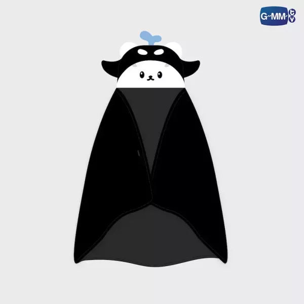 團購10/22結單｜GMMTV SHOP現貨｜連帽毯/HOODIE BLANKET｜泰韓米果 