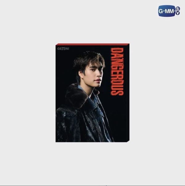 團購4/10結單｜GEMINI DANGEROUS PHOTOSET ｜泰韓米果 
