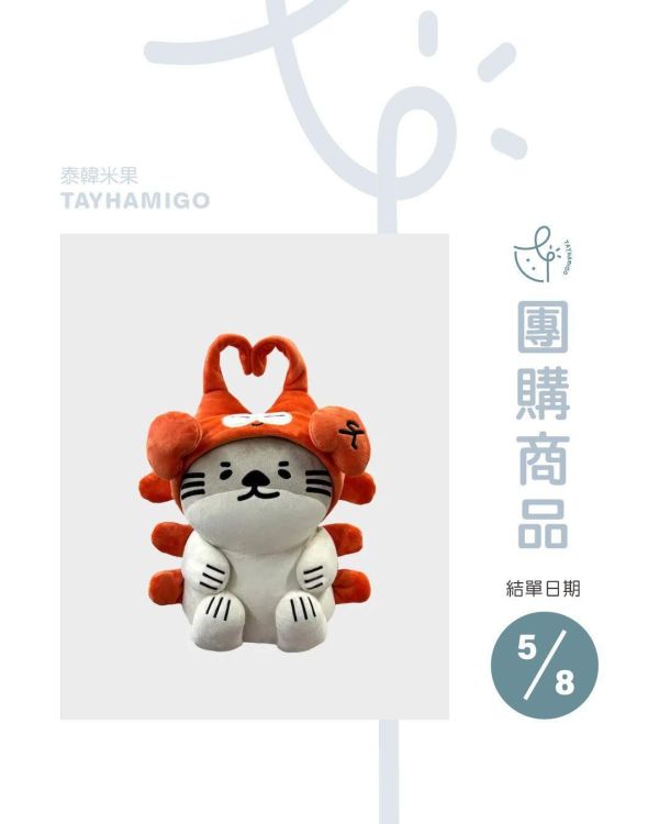 團購5/8結單｜NongNooong抱抱大娃 ｜泰韓米果 